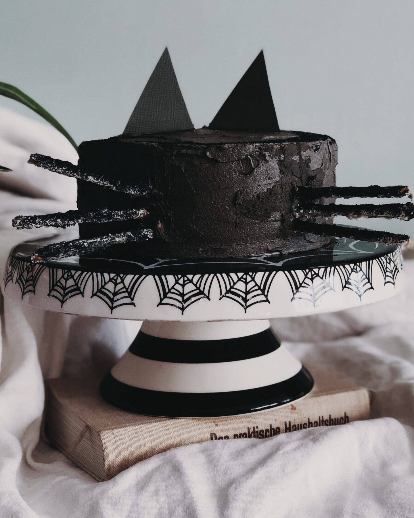 How to make an easy and spooky black cat cake on movingscouse.co.uk