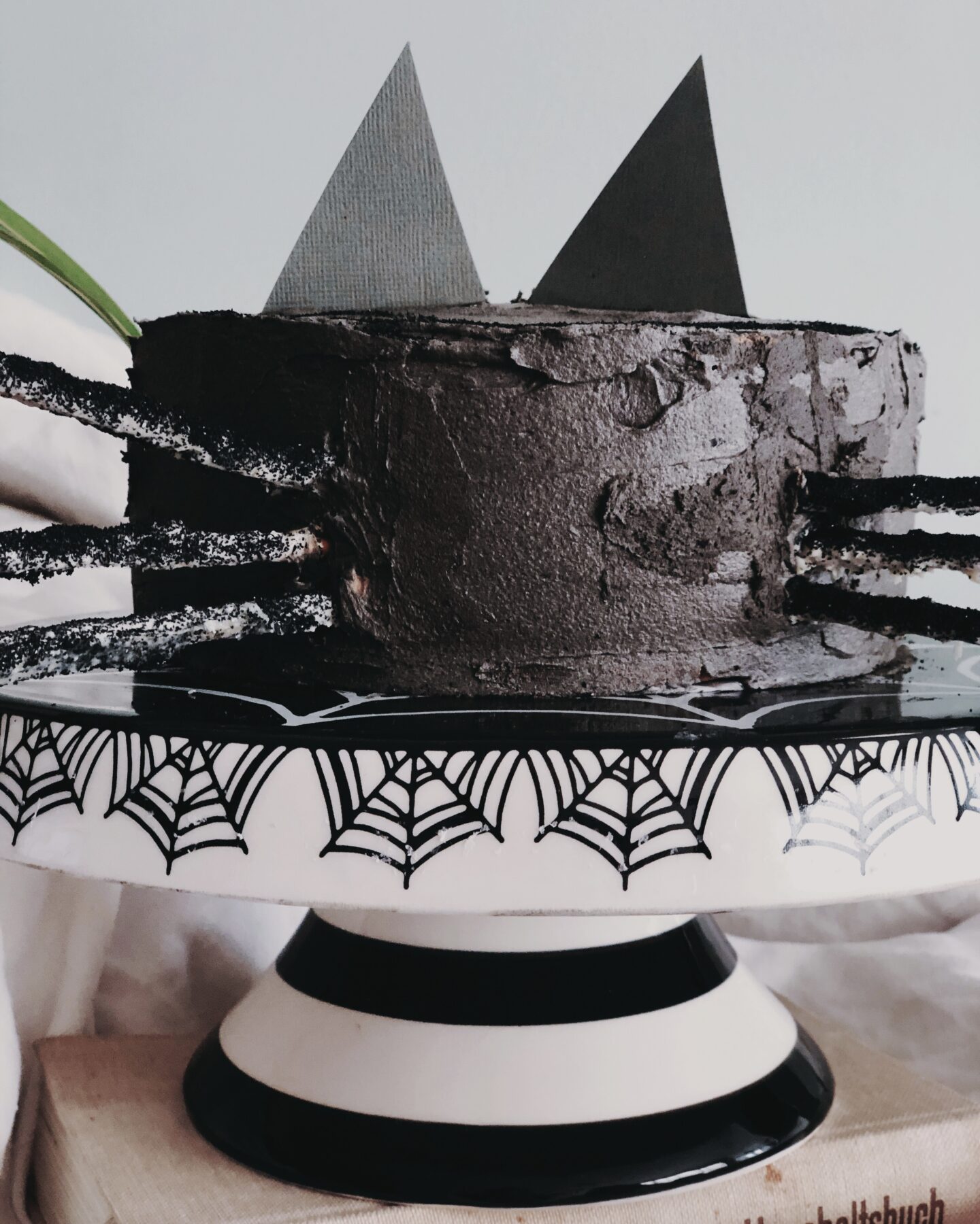 Close up of vegan black cat cake
